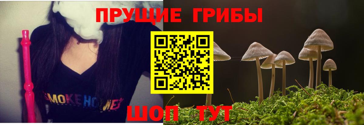 купить закладку  Галлюциногенные грибы мухоморы  Галлюциногенные грибы Magic Shrooms  Вход с VPN  Советская Гавань 